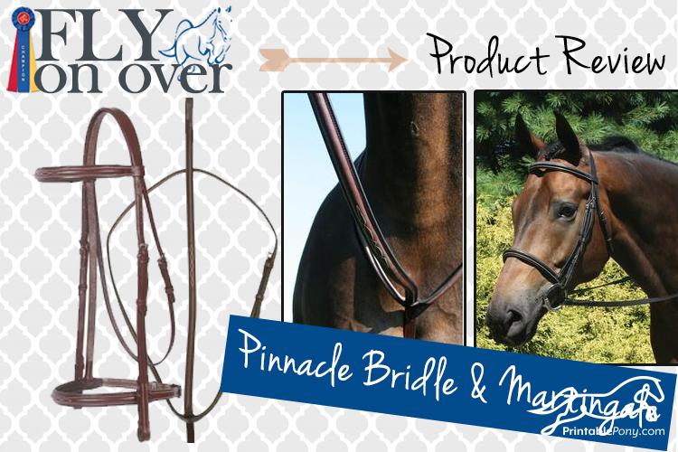 Pinnacle Bridle and Martingale Review