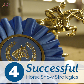 4 Successful Horse Show Strategies