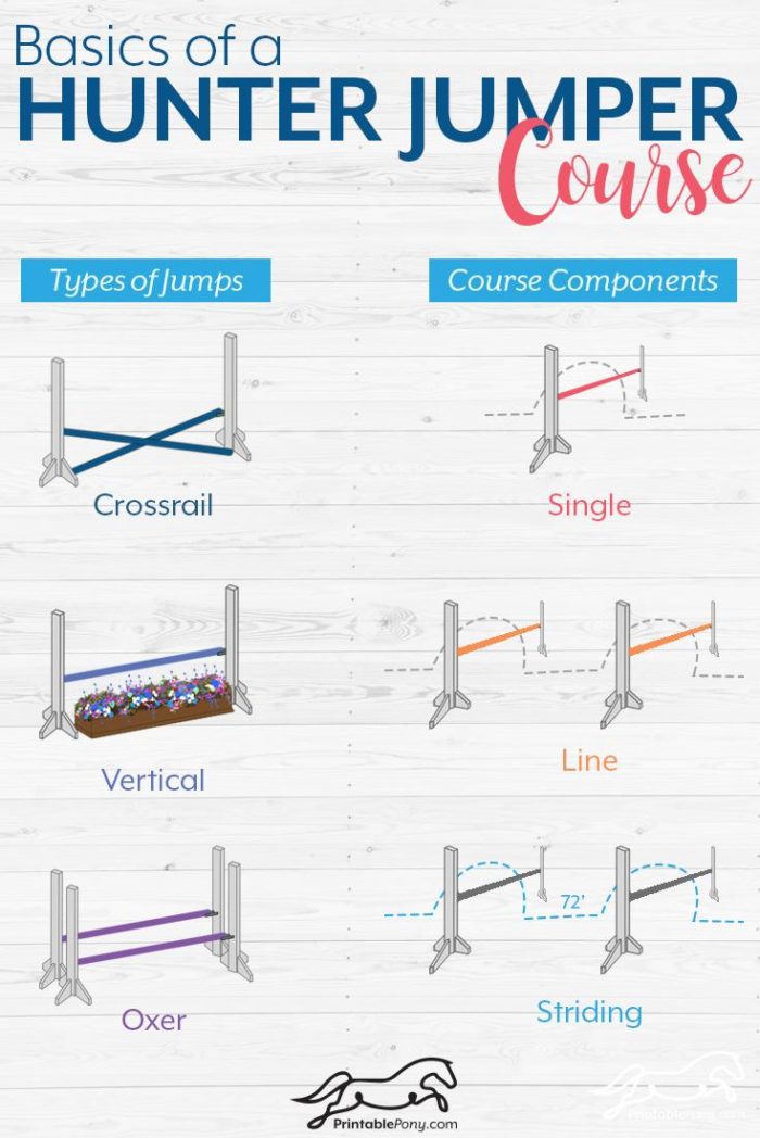 Basics of a Hunter Jumper Course The Printable Pony