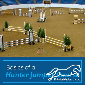 Basics of a Hunter Jumper Course