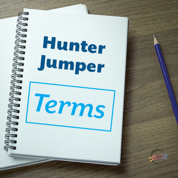 Hunter Jumper Terms