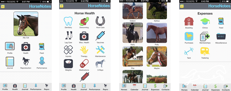 horse go sms pro themes