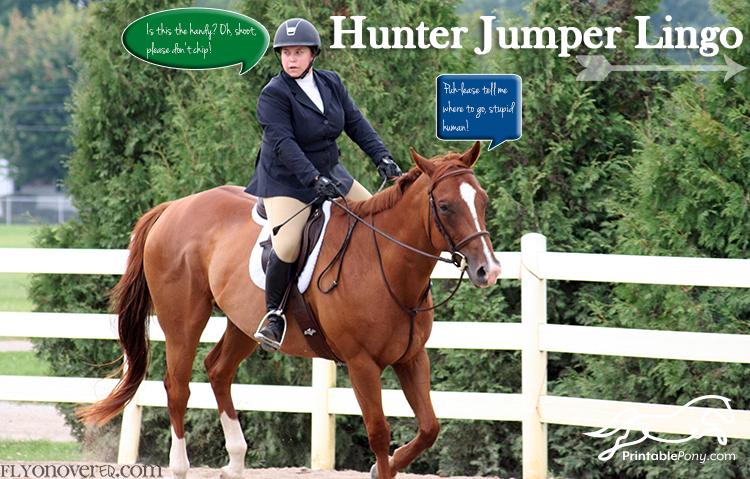 Hunter Jumper Lingo