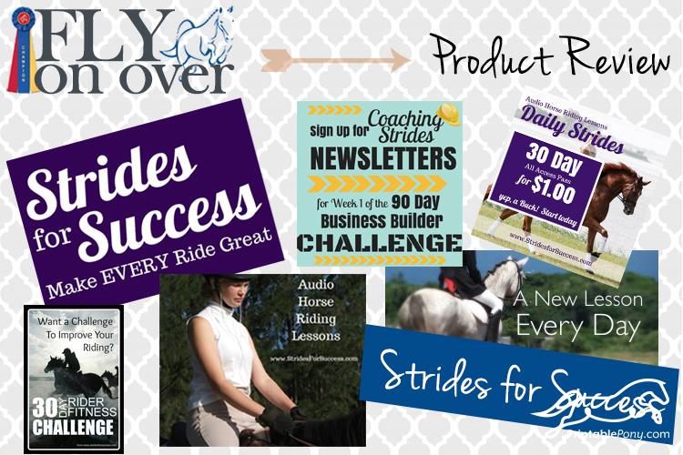 Strides for Success Product Review