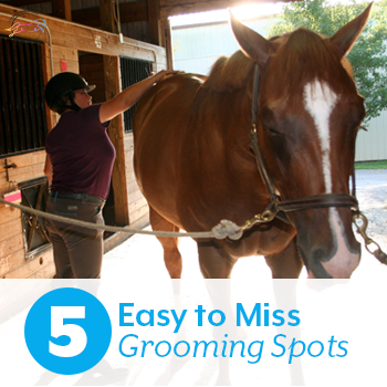 5 Easy to Miss Grooming Spots