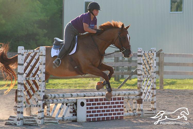 Vantage Equestrian Lifestyle Review | Fly On Over