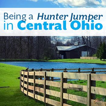 Being a Hunter Jumper in Central Ohio