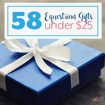 58 Equestrian Gifts Under $25