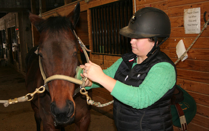 Best Grooming Tools for Sensitive Horses - The Printable Pony