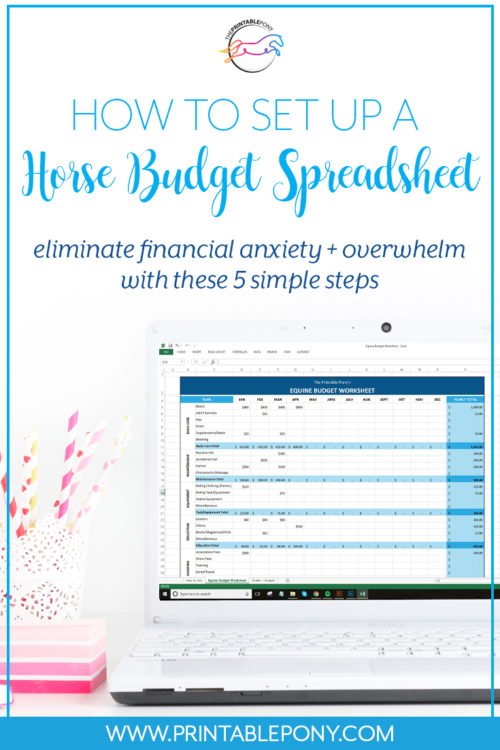 How To Set Up A Horse Budget Spreadsheet The Printable Pony