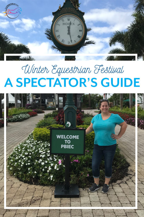 Winter Equestrian Festival: A Spectator's Guide | The Printable Pony