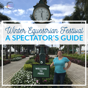equestrian festival winter spectator guide