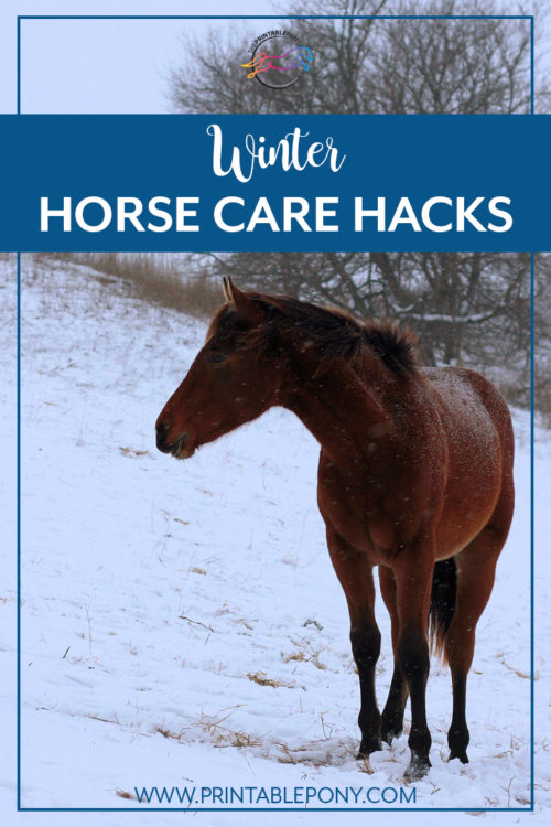 guest post winter horse care hacks the printable pony