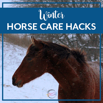 Winter Horse Care Hacks