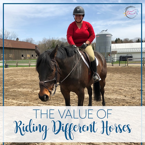The Value of Riding Different Horses
