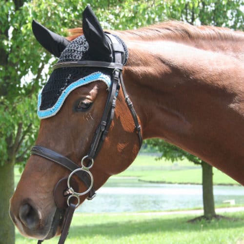 Crochet Fly Bonnet Pattern