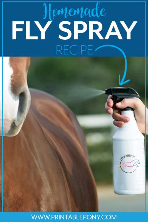 Homemade Fly Spray Recipe by The Printable Pony