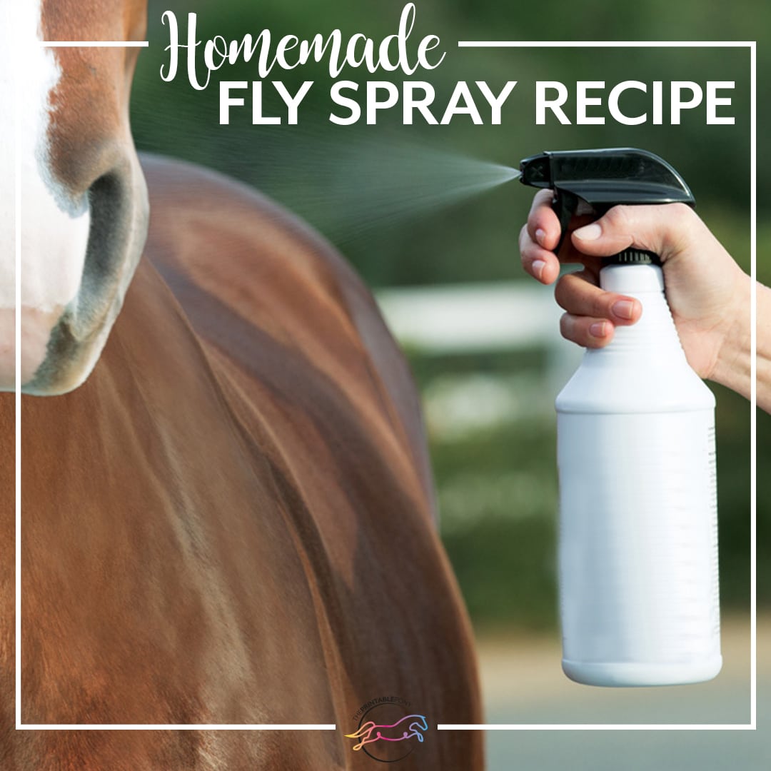 Homemade Fly Spray Recipe